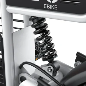 Alternative view of COSWHEEL T16 EBIKE
