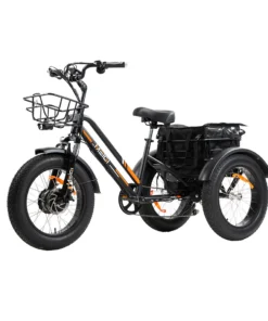 DWMEIGI Zeus MG1703 750W 48V/18.2Ah Fat Tire Electric Trike