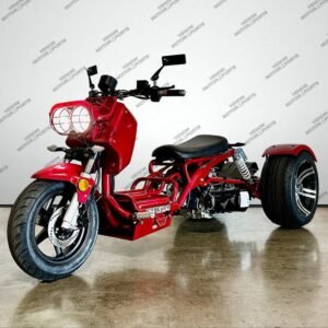 Alternative view of 50cc Maddog Trike | 3 Wheeler | Automatic Transmission