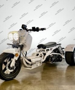 50cc Maddog Trike | 3 Wheeler | Automatic Transmission