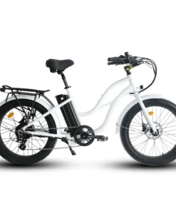 Coastal Cruiser Beach Cruiser 750W 52V 24×3 Step-Thru Electric Bike
