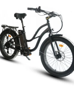 Alternative view of Coastal Cruiser Beach Cruiser 750W 52V 24×3 Step-Thru Electric Bike