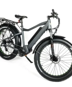 EUNORAU FAT-HD 1000W 48V Fat Tire Mountain Electric Bike