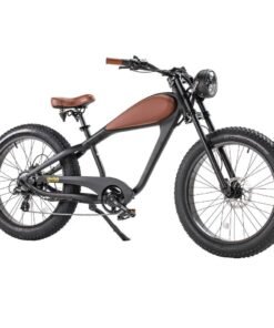 Revi Bikes Cheetah Café Racer 750W 48V Fat Tire Cruiser Electric Bike