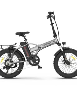 Aostirmotor A30 Folding Fat Tire 750W 48V Electric Bike