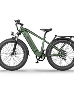 Aostirmotor King 1000W 52V All Terrain Fat Tire Mountain Electric Bike