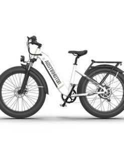 Aostirmotor Queen 1000W 52V Step Through All Terrain Fat Tire Mountain Electric Bike