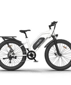 AOSTIRMOTOR S07-G 48V/13Ah 750W Fat Tire Electric Bike