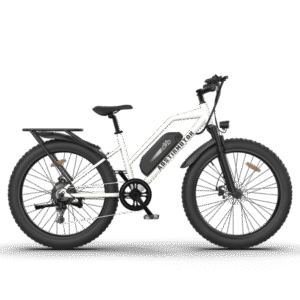 AOSTIRMOTOR S07-G 48V/13Ah 750W Fat Tire Electric Bike