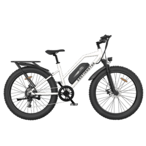 Aostirmotor S07-G Unisex Fat Tire 750W 48V City Commuter Electric Bike