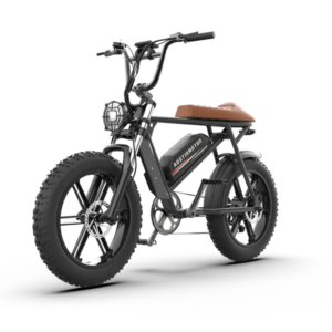 Aostirmotor Storm 750W 48V Fat Tire Electric Bike