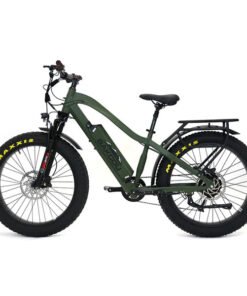 Bakcou Flatlander 750W 48V Fat Tire Electric Hunting Bike