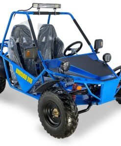 Alternative view of Barstow 200 Buggy Go Kart, Automatic with Reverse, Full-Size Ages 16 and up – Black