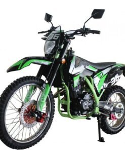 Broncho 300 Dual Sport Dirt Bike, 5-Speed Manual, Electric Start, (21/18) Wheels – Green