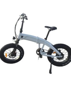 Coastal Cruiser 750W 48V 20×4 Folding Fat Tire Step Over Electric Bike