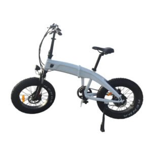 Coastal Cruiser 750W 48V 20×4 Folding Fat Tire Step Over Electric Bike