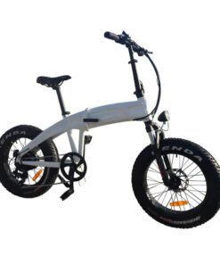 Alternative view of Coastal Cruiser 750W 48V 20×4 Folding Fat Tire Step Over Electric Bike