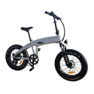 Alternative view of Coastal Cruiser 750W 48V 20×4 Folding Fat Tire Step Over Electric Bike