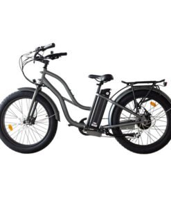 Coastal Cruiser Beach Cruiser 750W 52V 24×3 Step-Thru Electric Bike