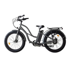 Coastal Cruiser Beach Cruiser 750W 52V 24×3 Step-Thru Electric Bike