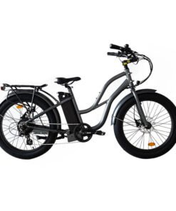 Alternative view of Coastal Cruiser Beach Cruiser 750W 52V 24×3 Step-Thru Electric Bike
