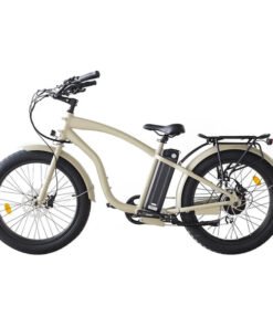 Coastal Cruiser Classic Beach Cruiser 750W 52V 24×3 Step Over Electric Bike