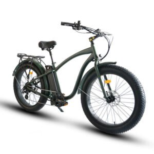Coastal Cruiser Step Over 26×4 52V/21Ah 750W Electric Bike