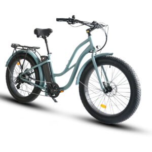 Alternative view of Coastal Cruiser Step Thru 26×4 52V/21Ah 750W Electric Bike
