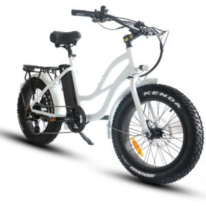 Alternative view of Coastal Cruiser Step Thru Mini 20×4 52V/17Ah 750W Electric Bike