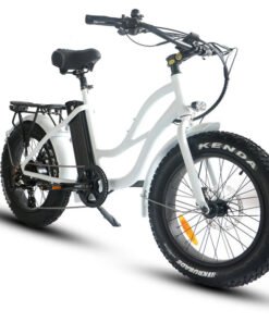 Coastal Cruiser Step Thru Mini 20×4 52V/17Ah 750W Electric Bike