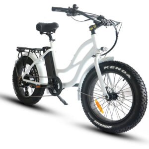 Coastal Cruiser Step Thru Mini 20×4 52V/17Ah 750W Electric Bike
