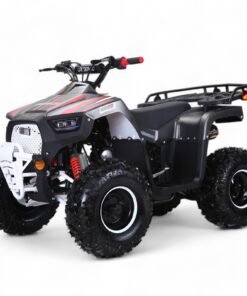 Coolster 125cc Mammoth Kids ATV