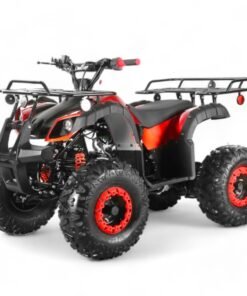 Coolster 125cc R3 Kids ATV