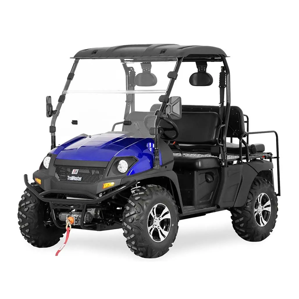 TrailMaster Taurus 200E GX UTV w/ Rear Seat (EFI)