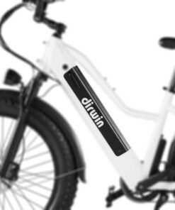 Alternative view of Dirwin Pioneer / Pacer Bike Battery