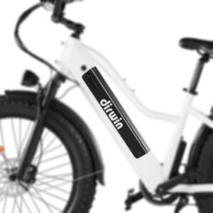 Alternative view of Dirwin Pioneer / Pacer Bike Battery