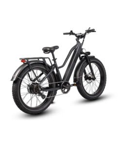 Alternative view of Dirwin Pioneer Step-Thru 750W 48V All-Terrain Fat Tire Electric Bike