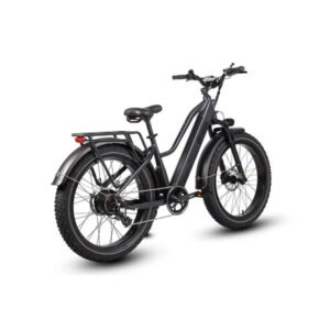 Alternative view of Dirwin Pioneer Step-Thru 750W 48V All-Terrain Fat Tire Electric Bike