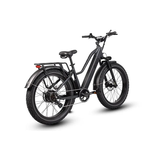 Dirwin Pioneer Step-Thru 750W 48V All-Terrain Fat Tire Electric Bike - Image 2
