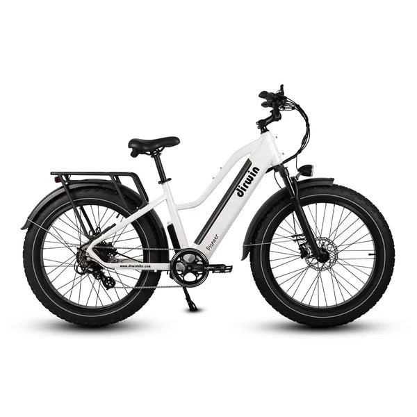 Dirwin Pioneer Step-Thru 750W 48V All-Terrain Fat Tire Electric Bike - Image 3