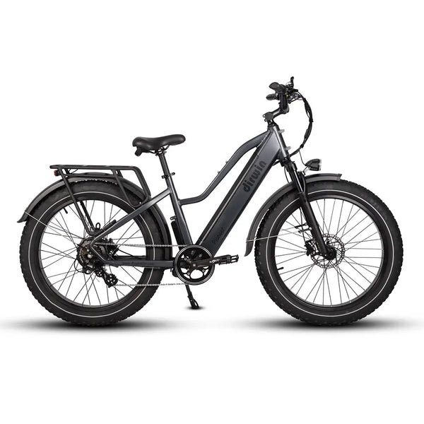 Dirwin Pioneer Step-Thru 750W 48V All-Terrain Fat Tire Electric Bike
