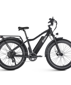 Dirwin Seeker 750W 48V All-Terrain Fat Tire Electric Bike