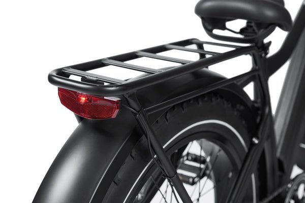 Dirwin Seeker 750W 48V All-Terrain Fat Tire Electric Bike - Image 3