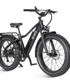 Alternative view of Dirwin Seeker 750W 48V All-Terrain Fat Tire Electric Bike