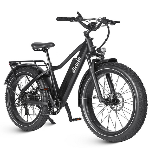 Dirwin Seeker 750W 48V All-Terrain Fat Tire Electric Bike - Image 2