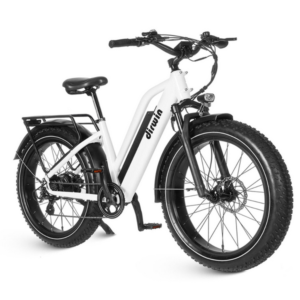 Alternative view of Dirwin Seeker Step-Thru 750W 48V All-Terrain Fat Tire Electric Bike