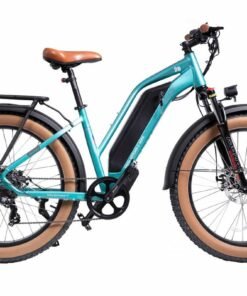 Alternative view of DWMEIGI Artemis 48V/16Ah 750W Fat Tire Electric Bike