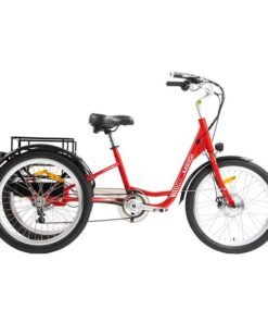 DWMEIGI Hera MG708 350W 36V/15Ah Electric Tricycle