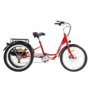DWMEIGI Hera MG708 350W 36V/15Ah Electric Tricycle