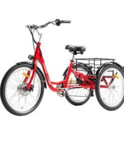 Alternative view of DWMEIGI Hera MG708 350W 36V/15Ah Electric Tricycle